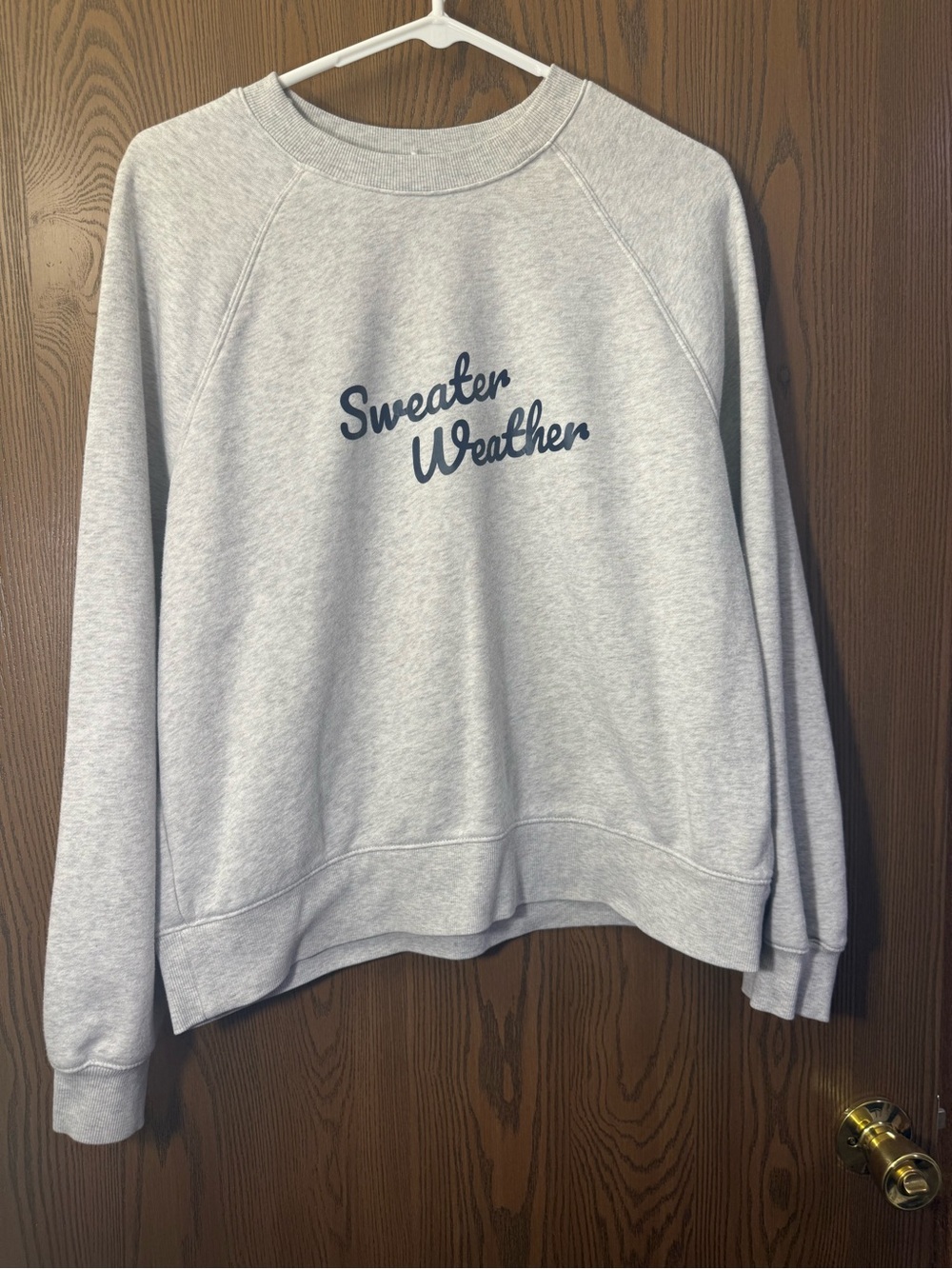 Sweater Weather Crewneck Sweatshirt - Light Gray